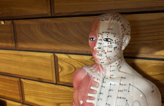 顔面神経麻痺でお悩みの方へ   ― 急性期から回復期・慢性期まで、状態に合わせた鍼治療 ―